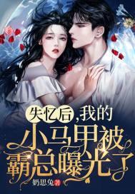 失忆后我火了阅读